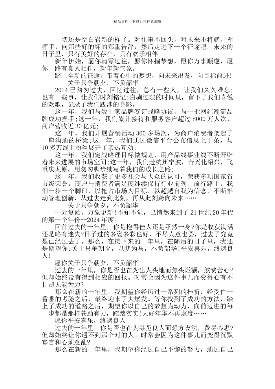 2024关于只争朝夕_第2页