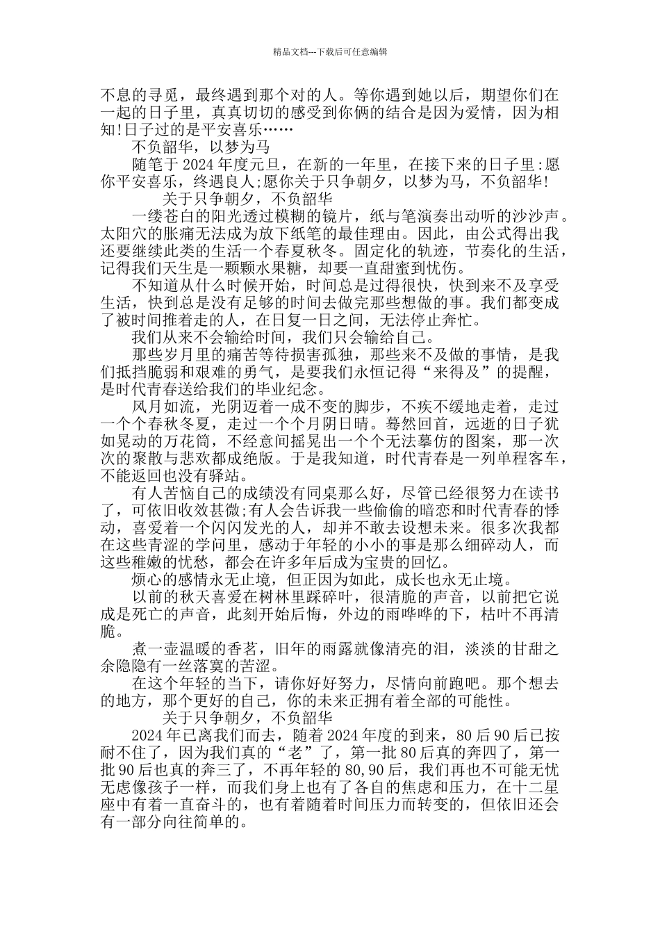 2024关于只争朝夕_第3页