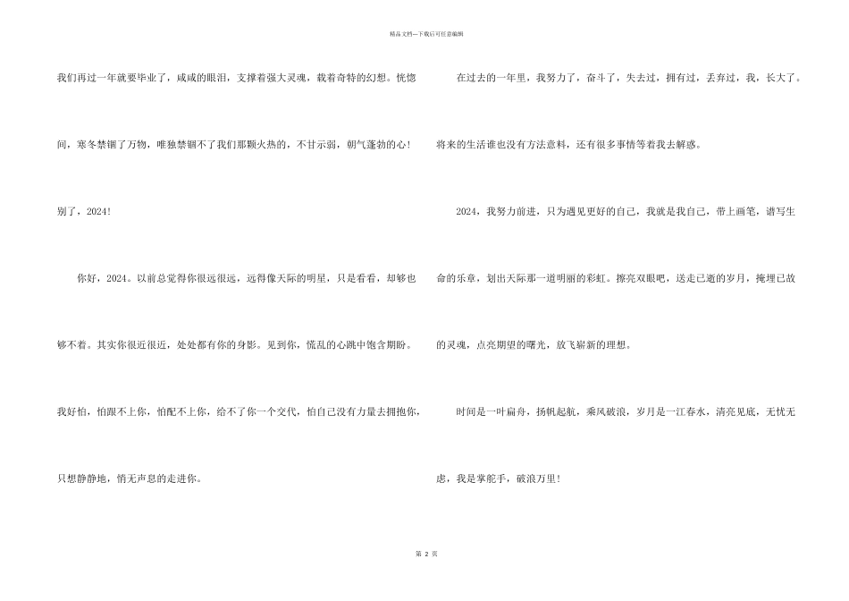 2024再见2024你好五篇_第2页
