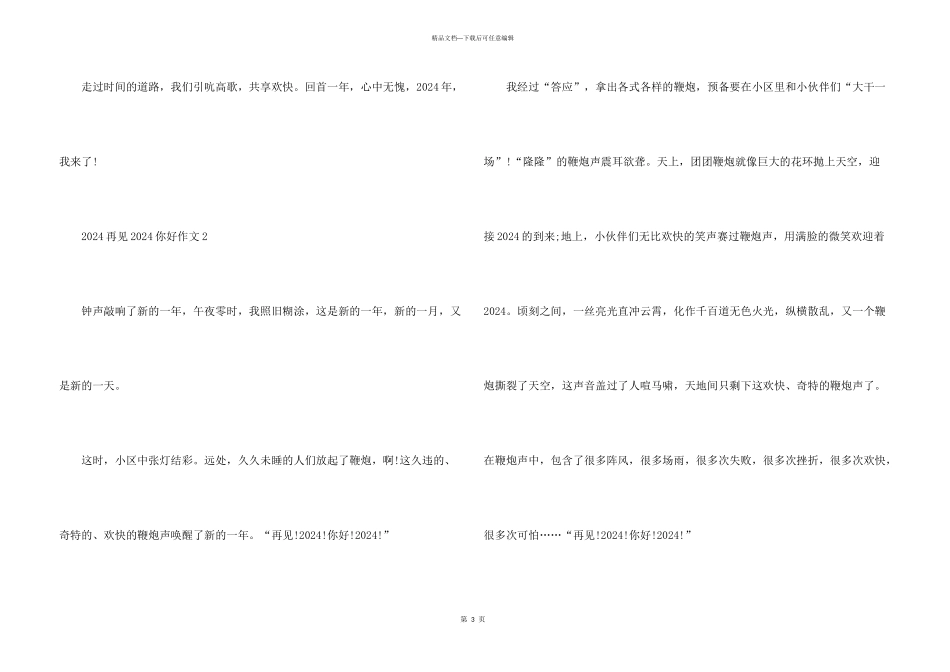 2024再见2024你好五篇_第3页