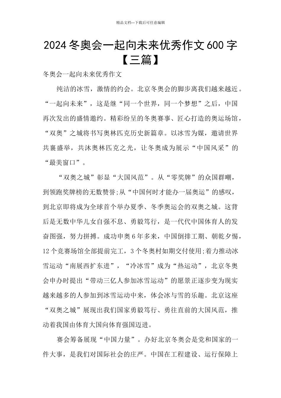 2024冬奥会一起向未来优秀作文600字_第1页
