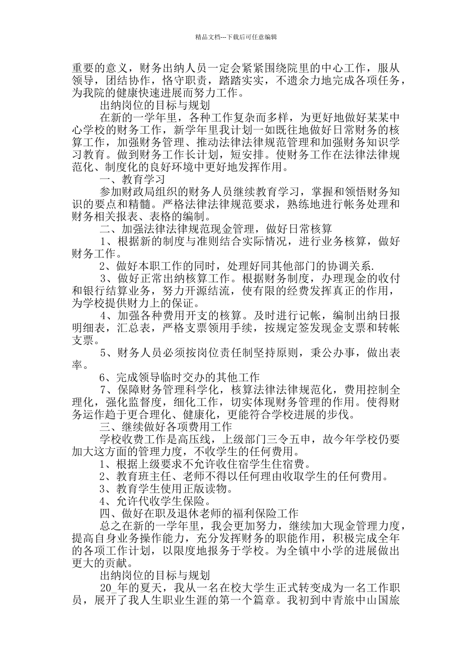 2024出纳岗位目标与规划范本_第2页