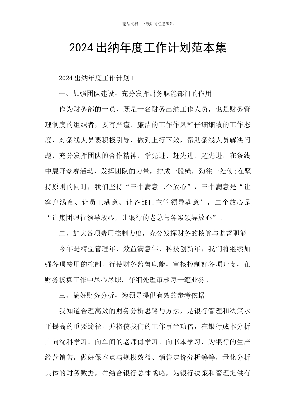 2024出纳年度工作计划范本集_第1页