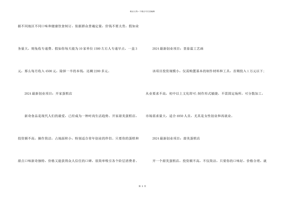 2024创业项目分享_第3页