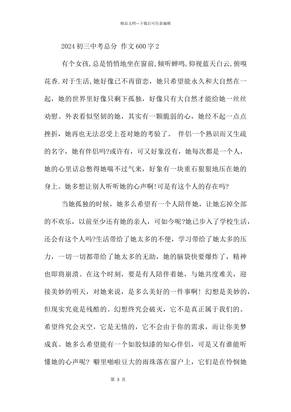 2024初三中考满分600字_第3页