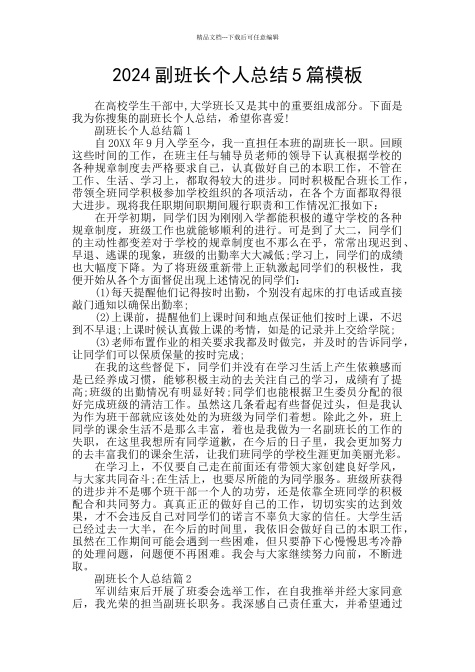 2024副班长个人总结5篇模板_第1页