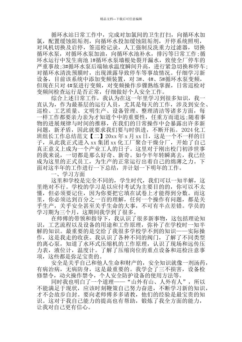 2024化工班组长工作总结_第2页