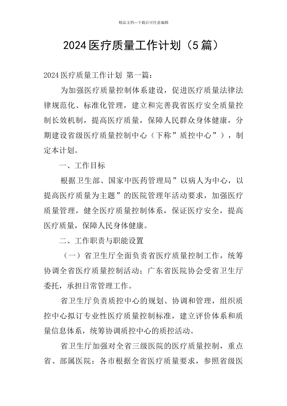 2024医疗质量工作计划_第1页