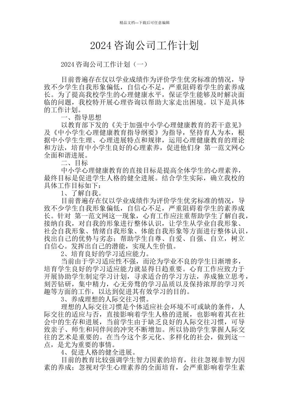 2024咨询公司工作计划_第1页