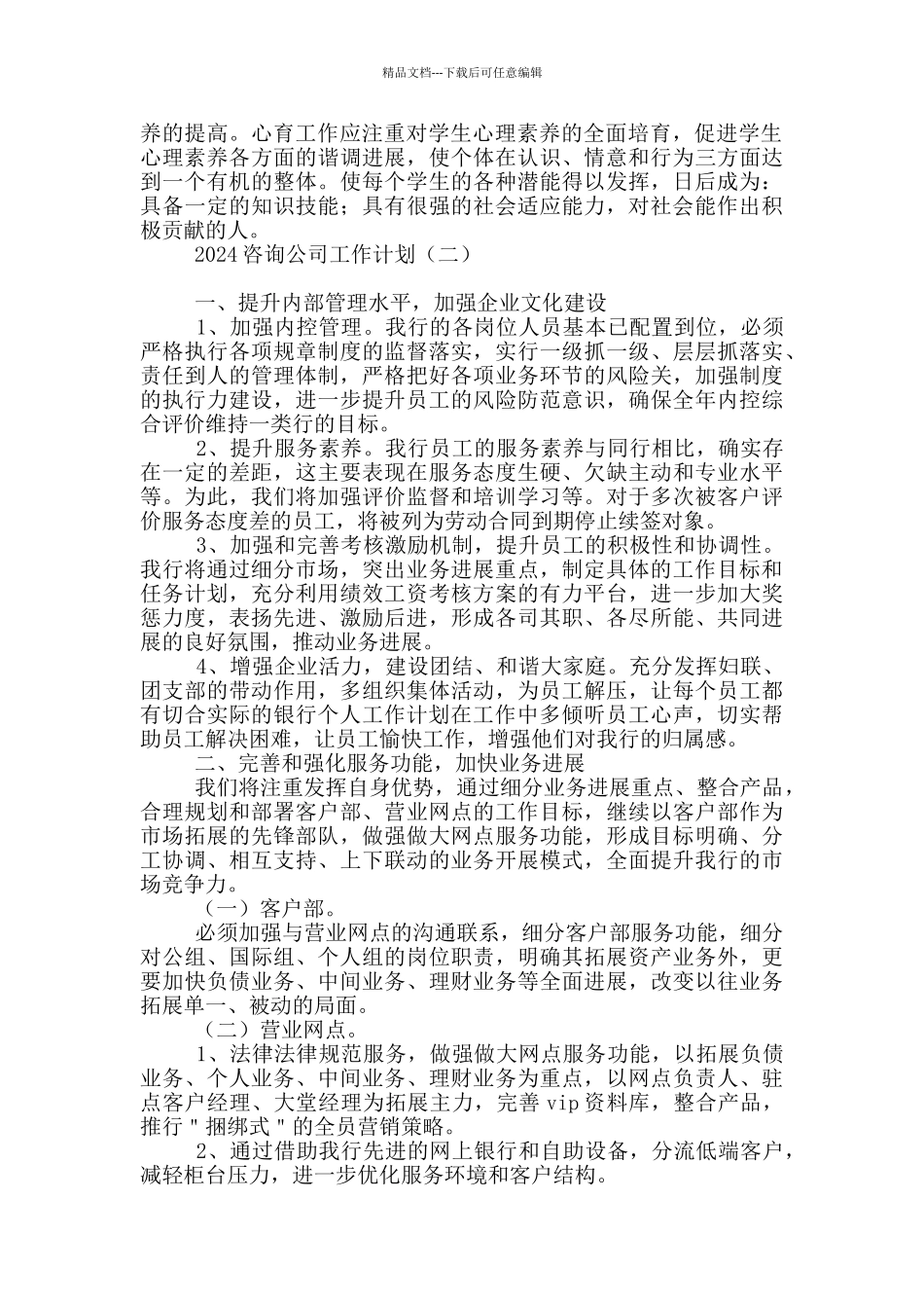 2024咨询公司工作计划_第2页