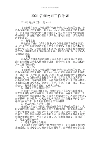 2024咨询公司工作计划