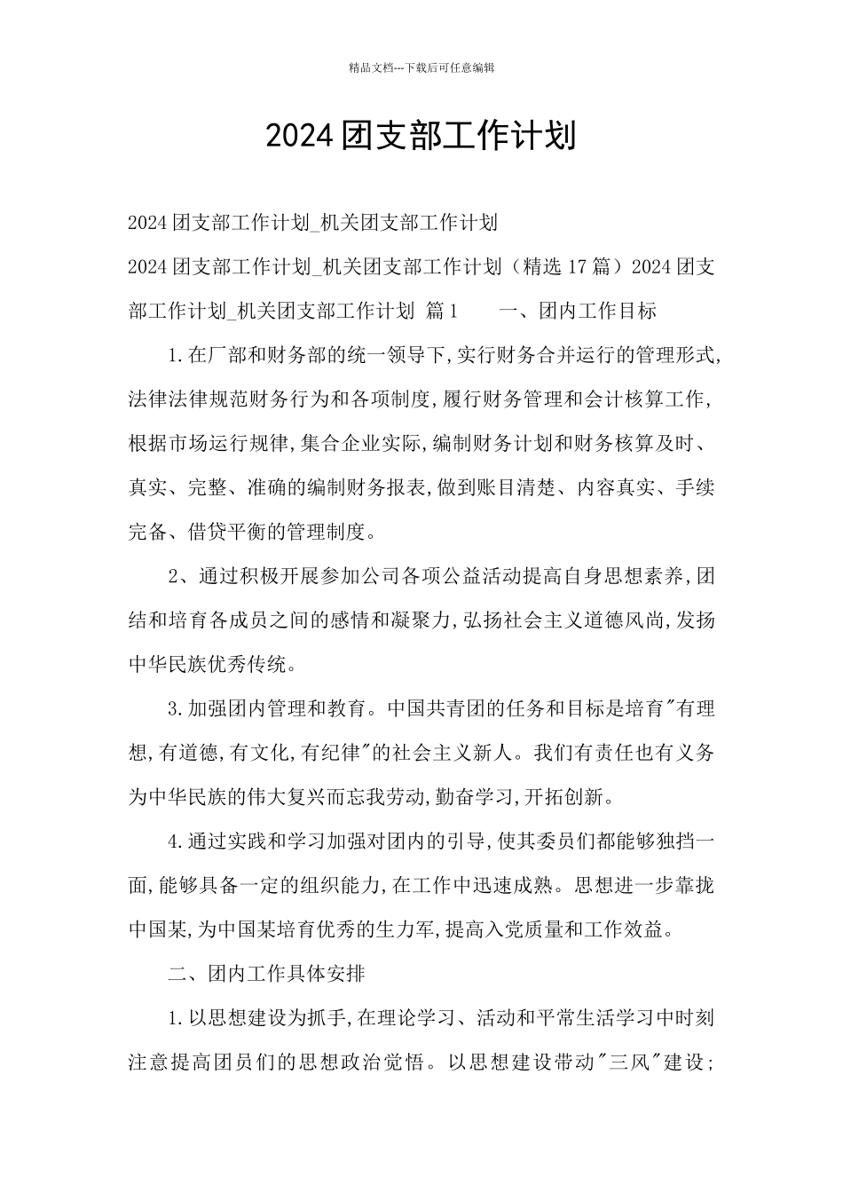 2024团支部工作计划_第1页