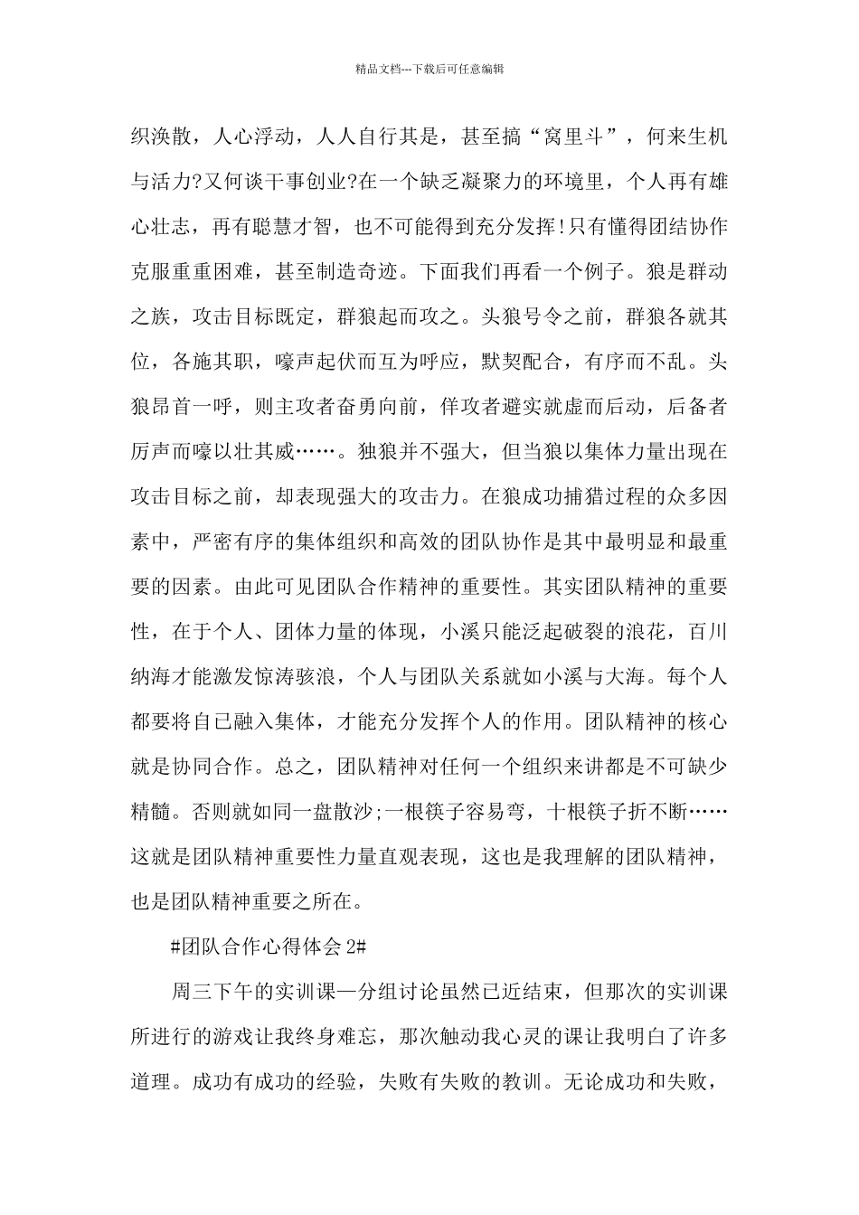 2024团队合作的个人心得体会1000字5篇_第3页