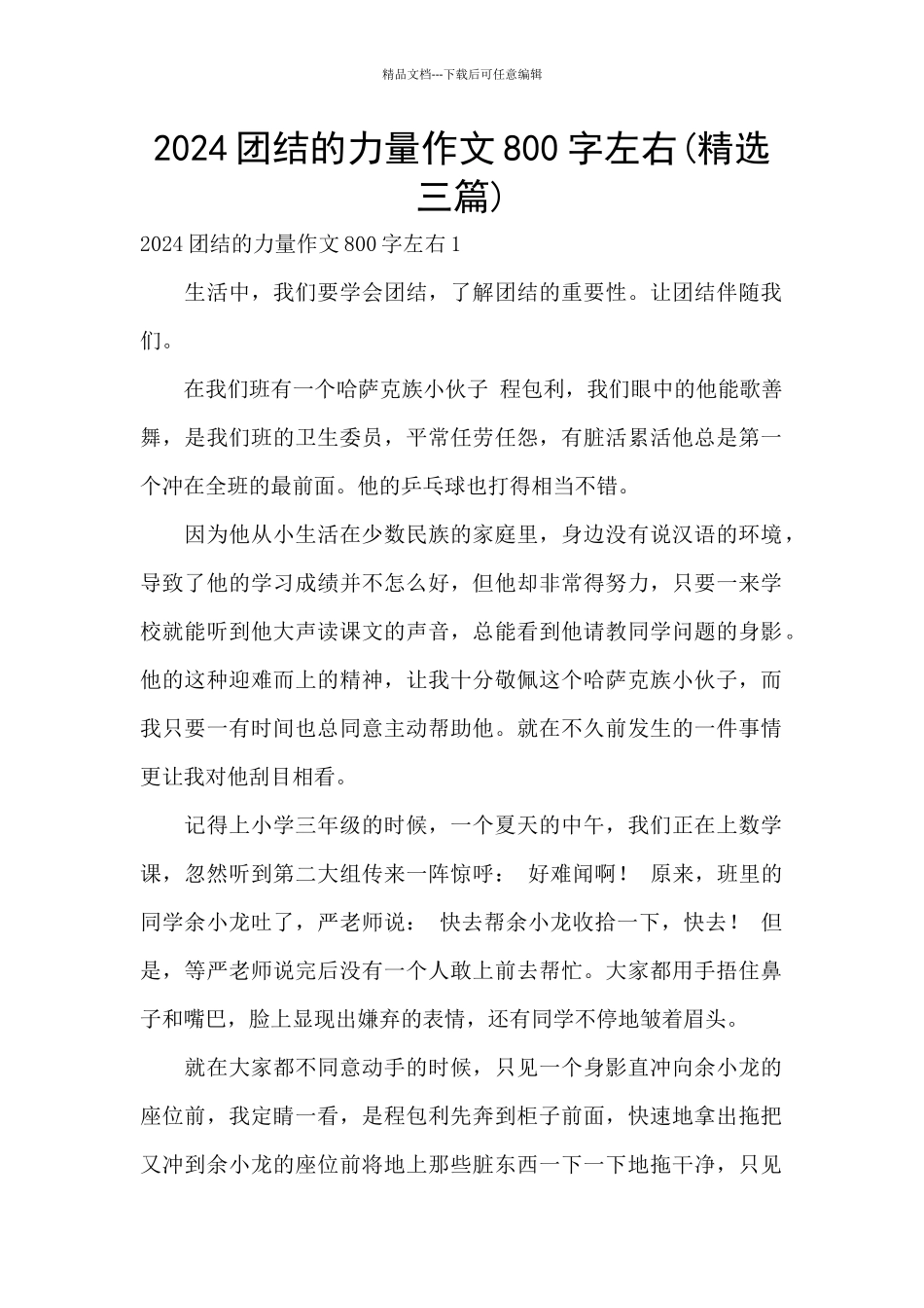 2024团结的力量作文800字左右_第1页