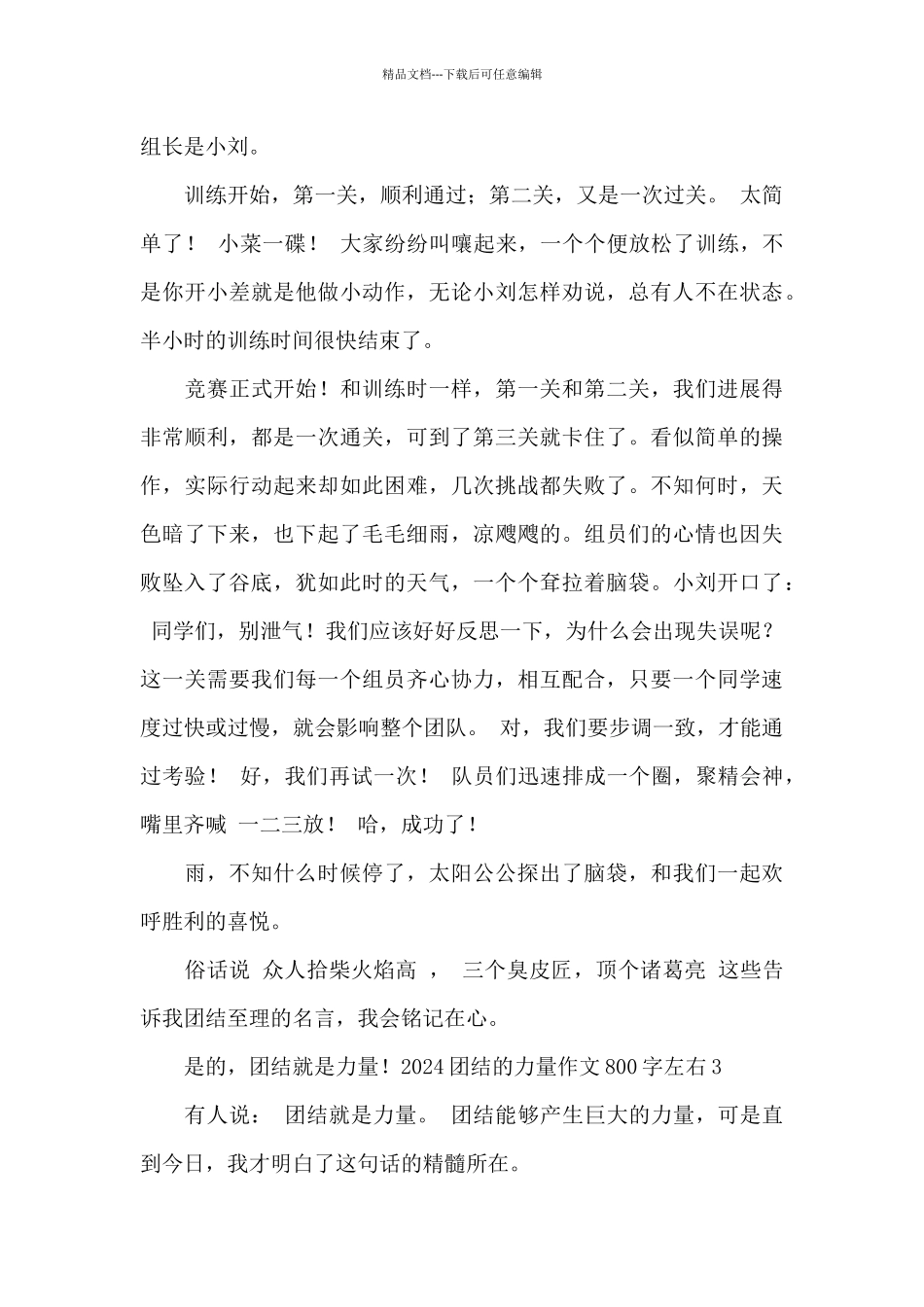 2024团结的力量作文800字左右_第3页