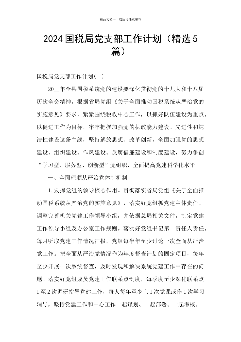 2024国税局党支部工作计划_第1页