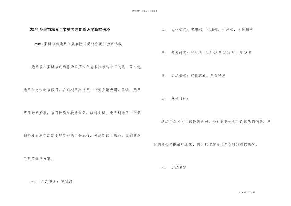 2024圣诞节和元旦节美容院促销方案独家揭秘_第1页