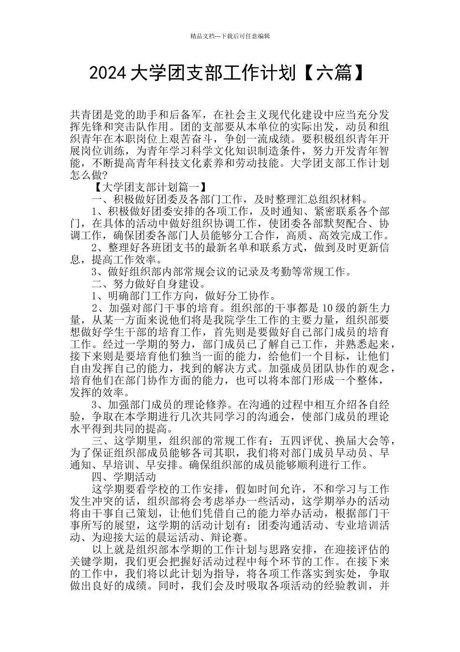 2024大学团支部工作计划_第1页