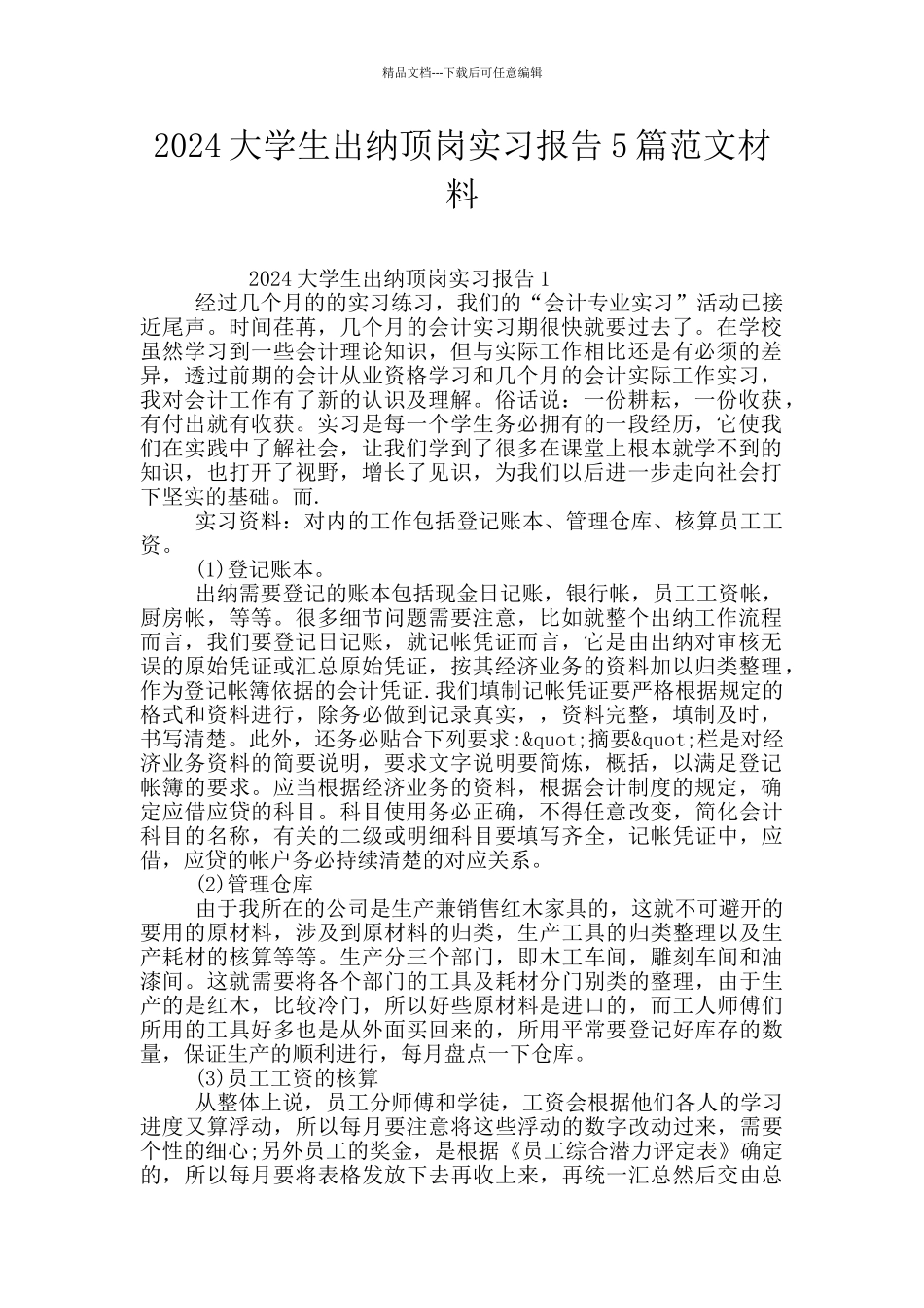 2024大学生出纳顶岗实习报告5篇范文材料_第1页