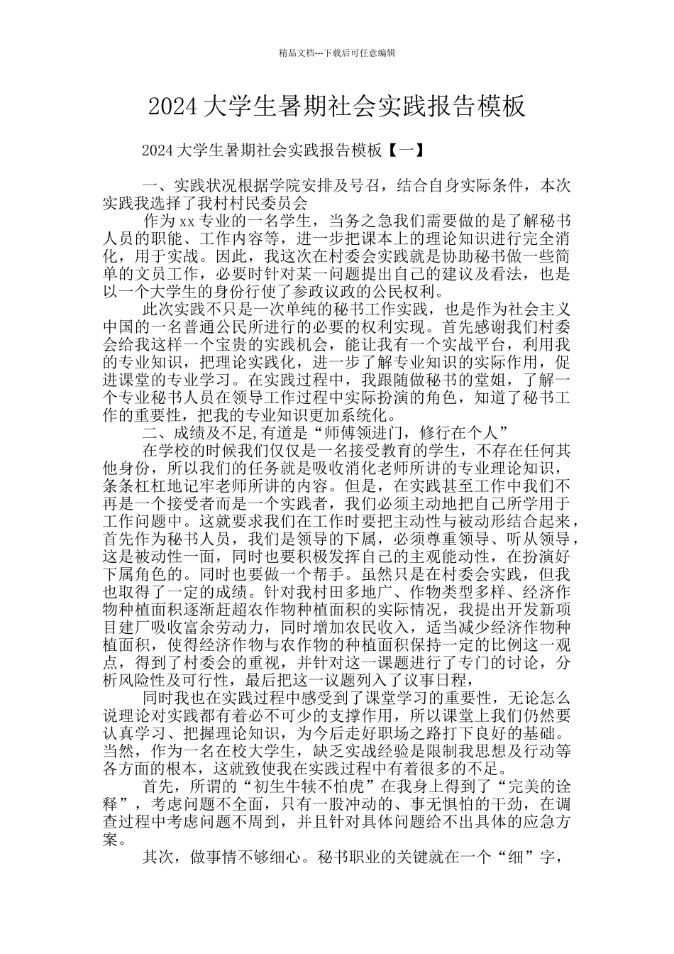 2024大学生暑期社会实践报告模板_第1页