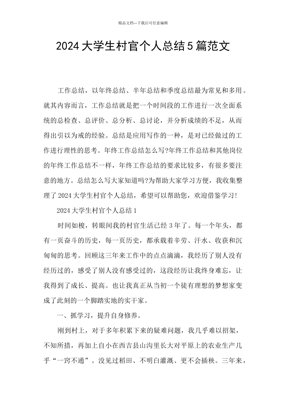 2024大学生村官个人总结5篇范文_第1页