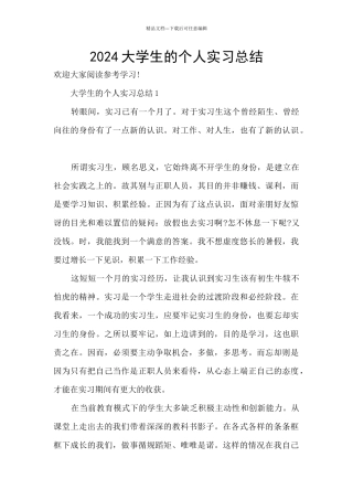 2024大学生的个人实习总结