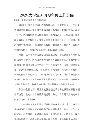 2024大学生见习期年终工作总结