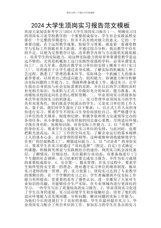 2024大学生顶岗实习报告范文模板