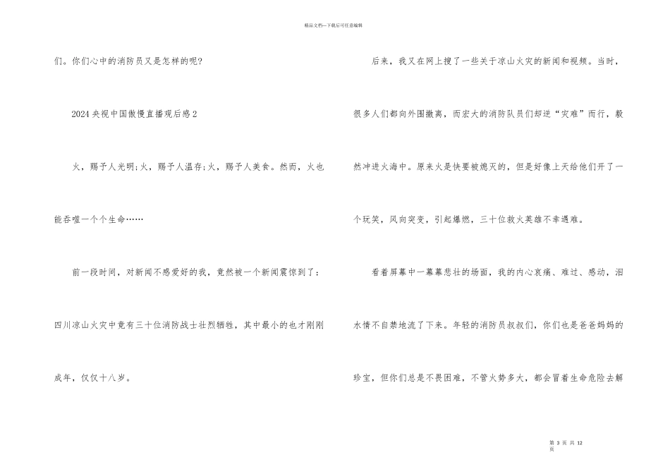 2024央视中国骄傲直播观后感_第3页