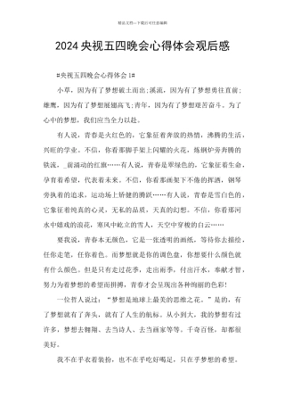 2024央视五四晚会心得体会观后感