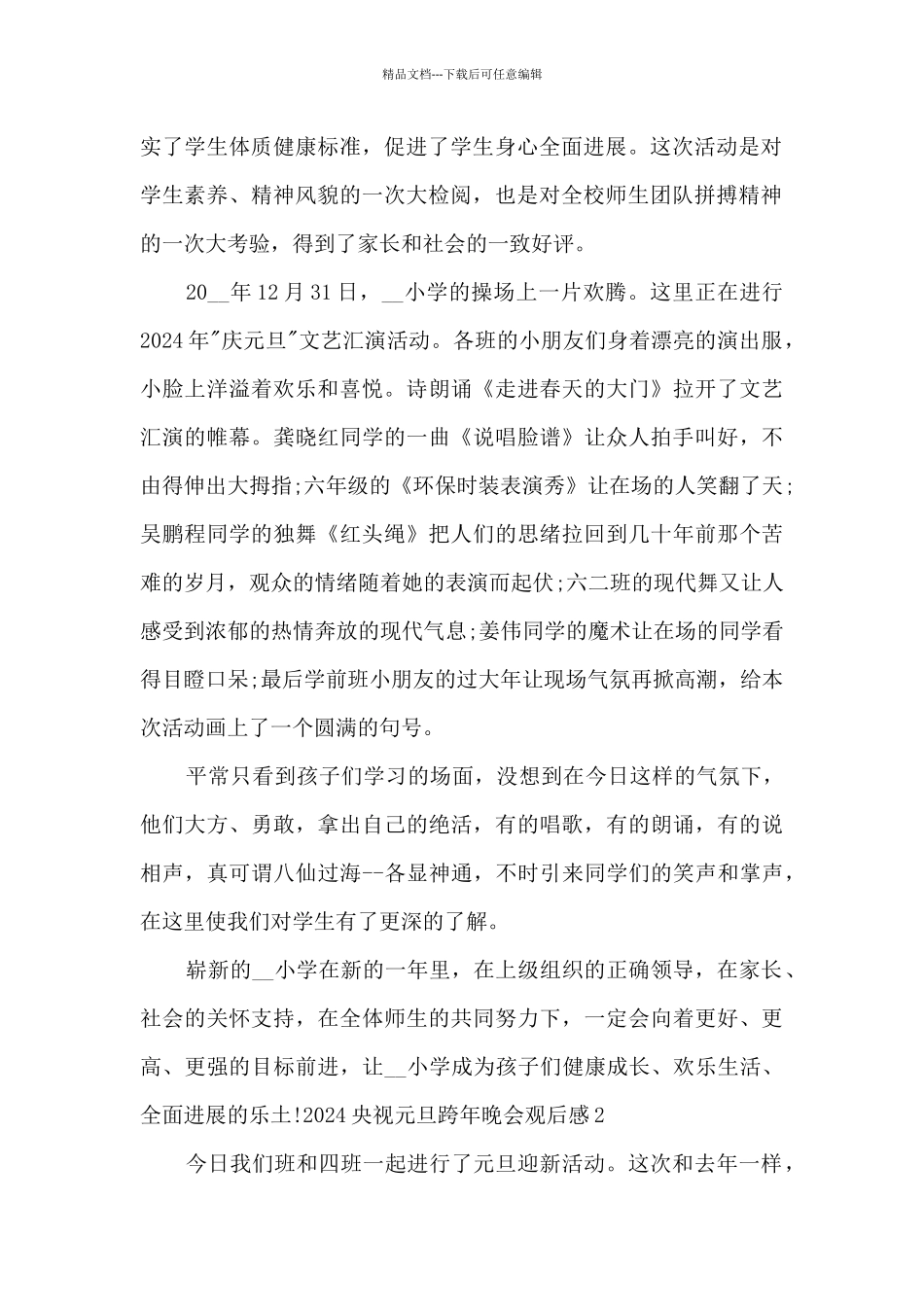 2024央视元旦跨年晚会观后感_第2页