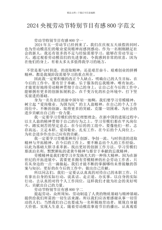 2024央视劳动节特别节目有感800字范文