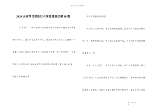 2024央视节目消防日中国骄傲观后感10篇
