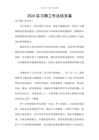 2024实习期工作总结多篇