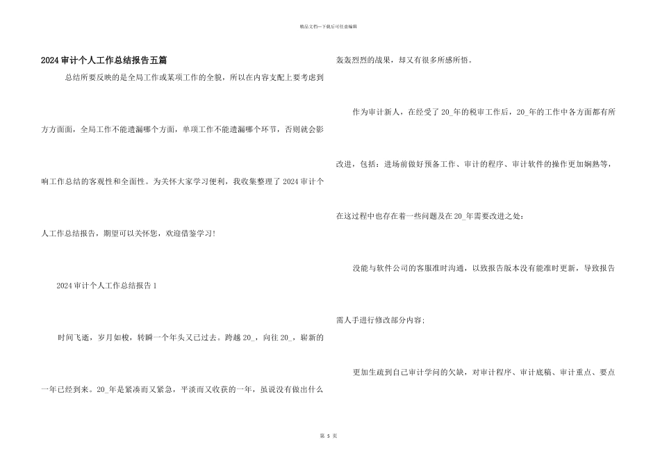 2024审计个人工作总结报告五篇_第1页