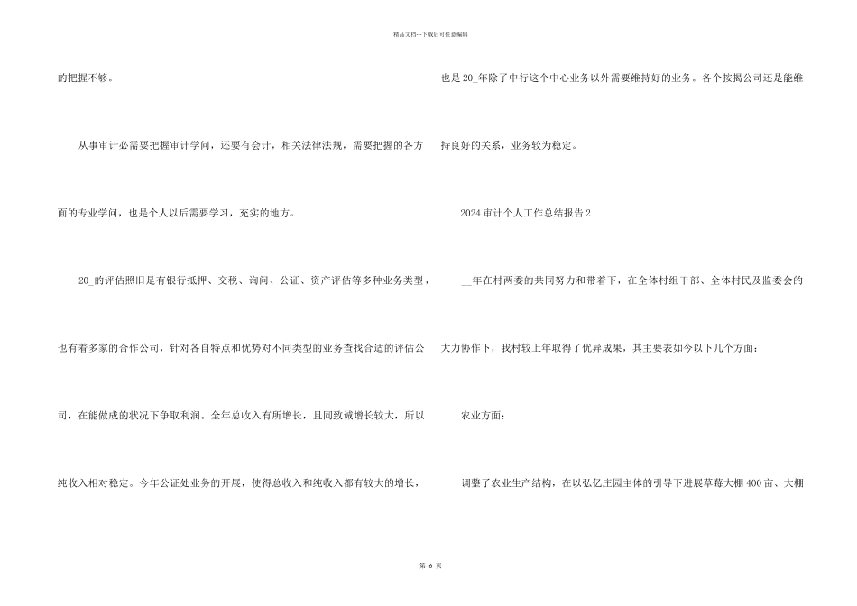 2024审计个人工作总结报告五篇_第2页