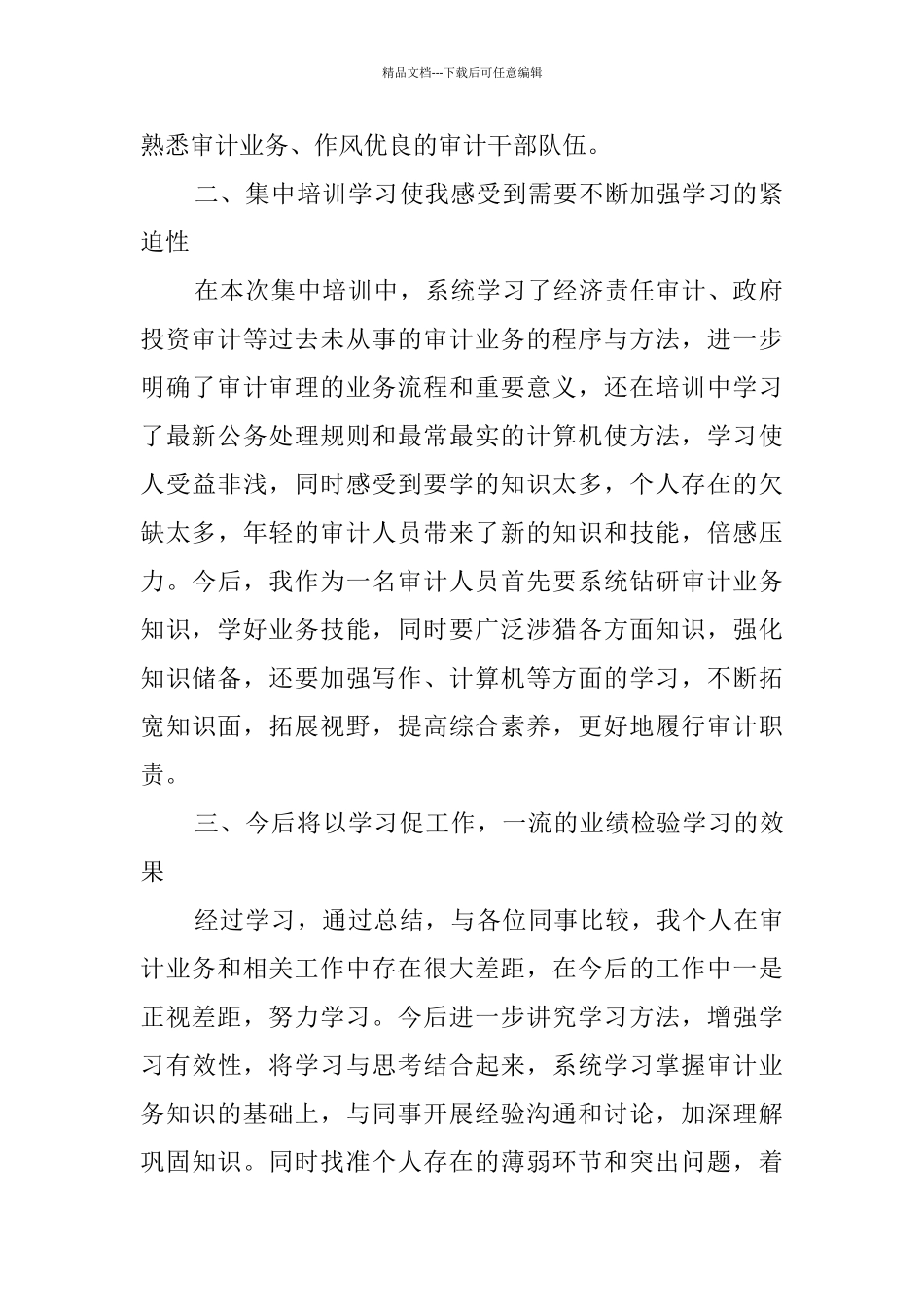 2024审计培训学习总结_第2页