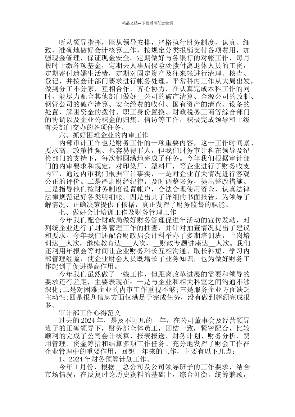 2024审计部工作心得范文_第2页