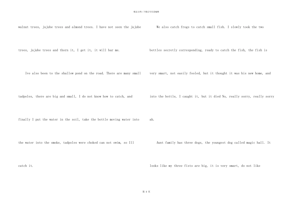 2024小学英语我的暑假_第3页