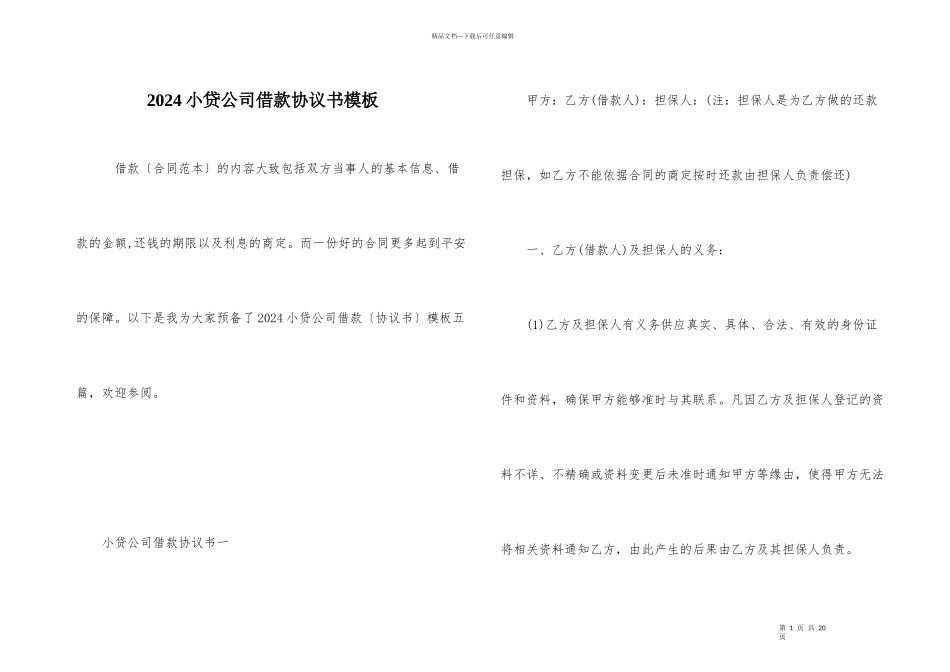 2024小贷公司借款协议书模板_第1页