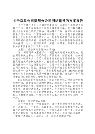 关于双星公司贵州分公司网站建设的方案报告