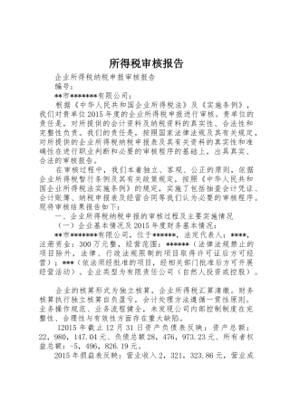 所得税审核报告