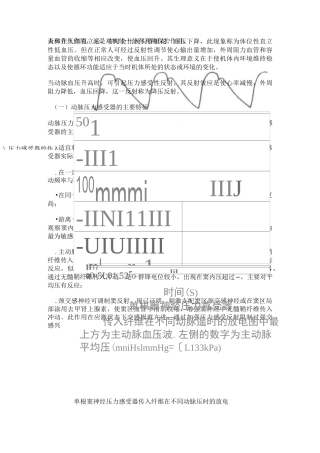 二十八、颈动脉窦与主动脉弓压力感受性反射