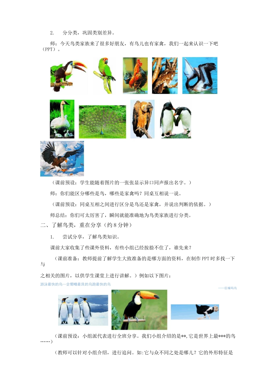 鸟和家禽教案_第3页