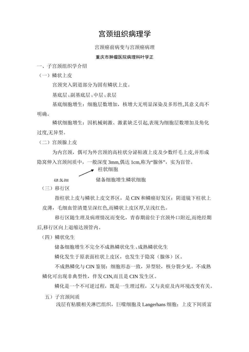 宫颈组织病理学_第1页