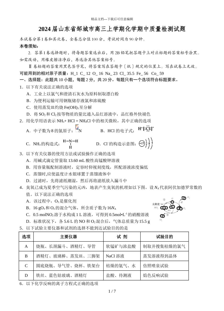 2024届山东省邹城市高三上学期化学期中质量检测试题_第1页