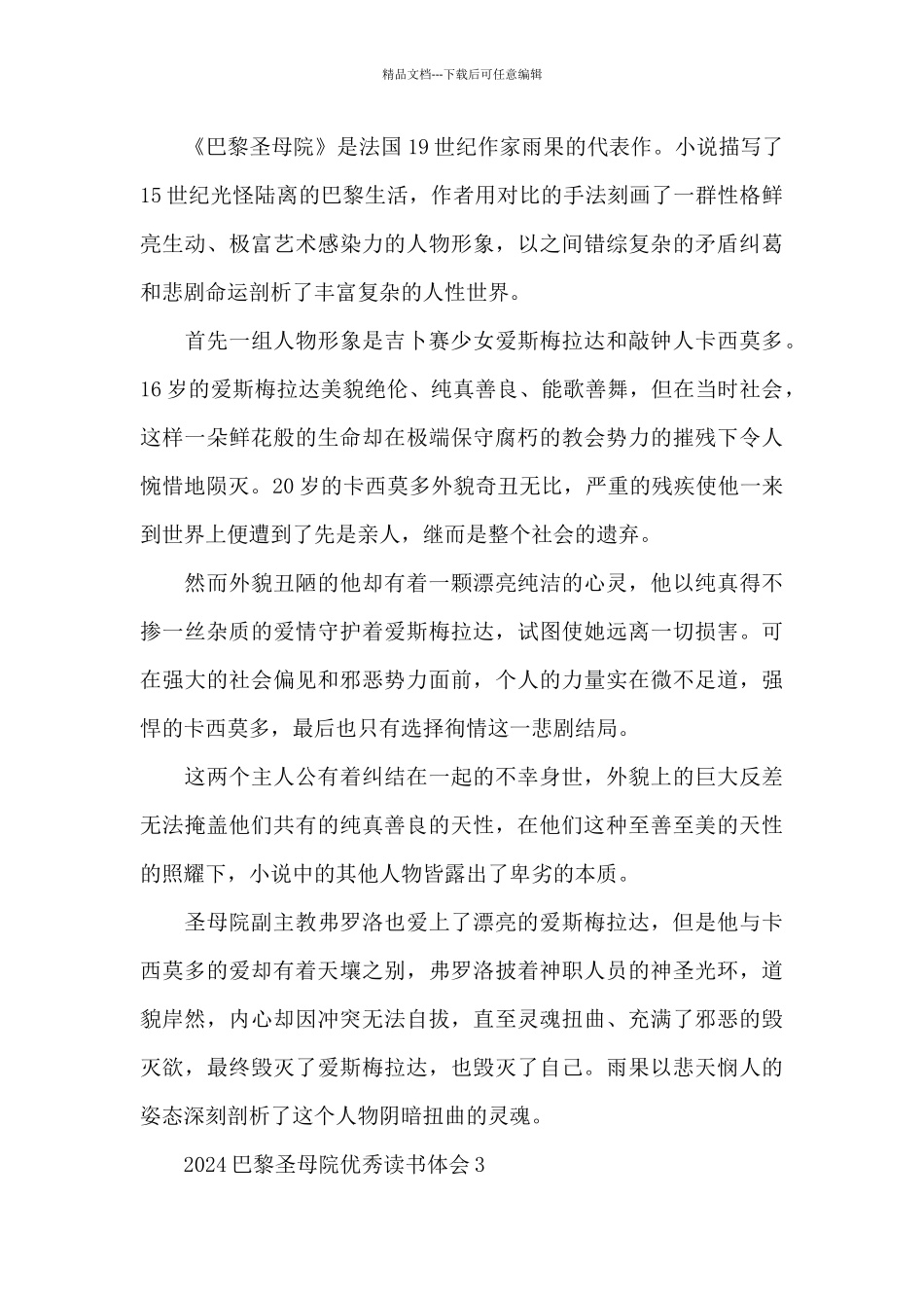 2024巴黎圣母院优秀读书体会五篇_第2页