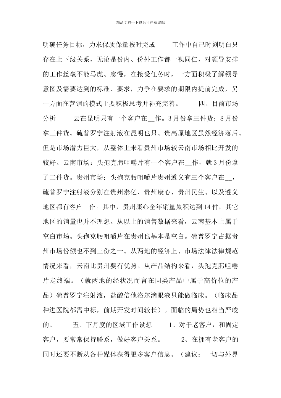 2024市场营销工作总结范文材料_第2页