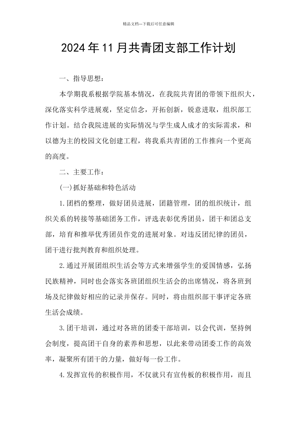 2024年11月共青团支部工作计划_第1页