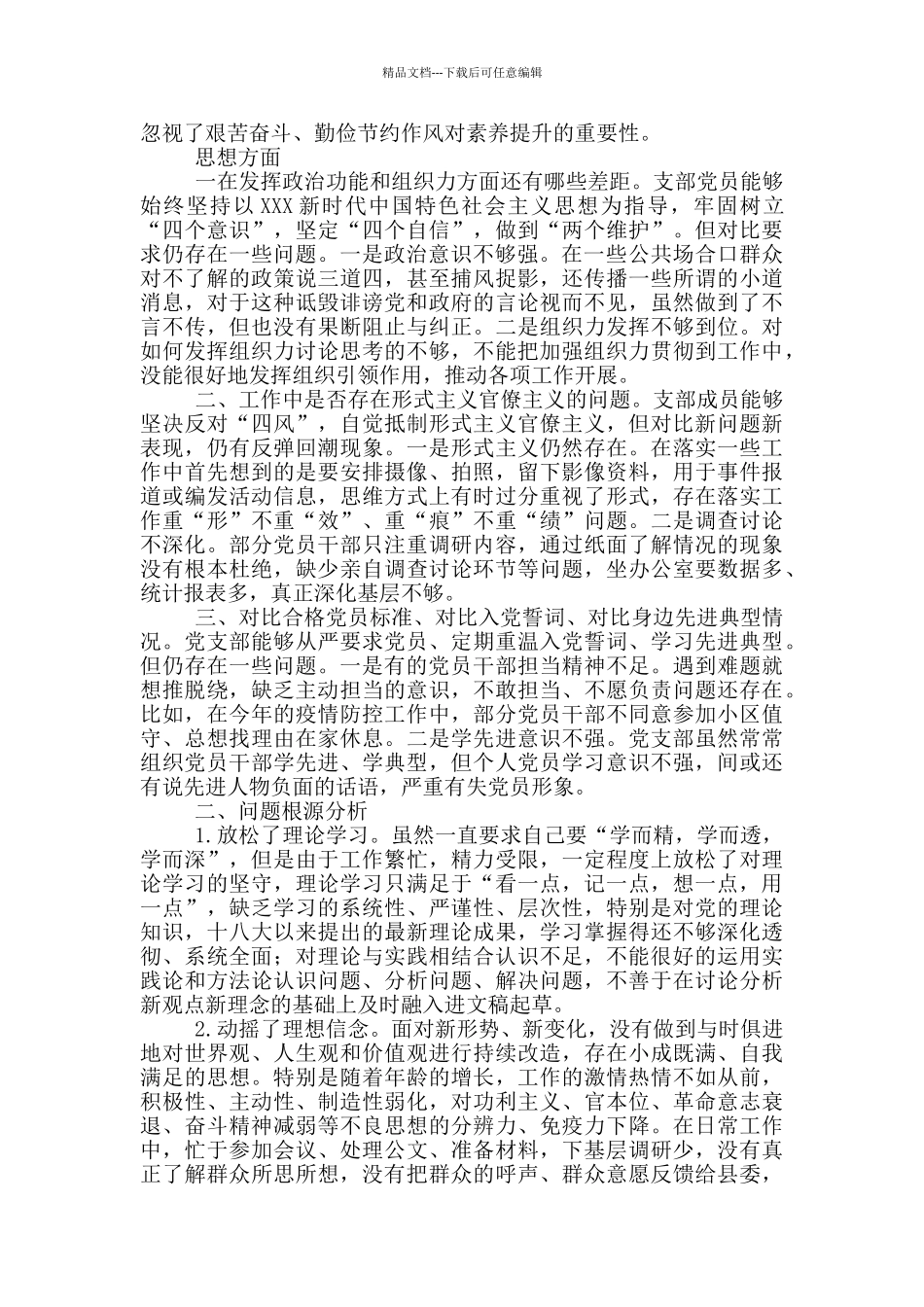 2024年XX党支部对照检查材料_第3页